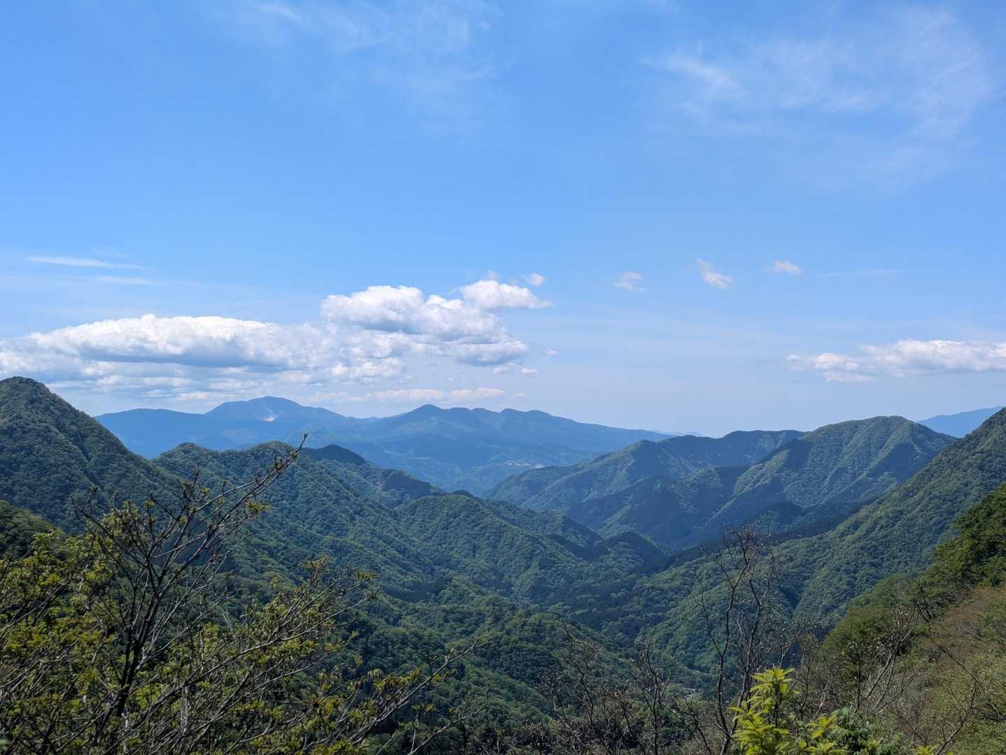 箱根の山々見えた
神山山腹に白く見えるのは大涌谷