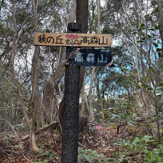 ここまで風🌀の影響を全くうけない道を歩けたんでドンドン進みながら😅わかりやすい案内もあり高森山山頂に行く前に眺望良さそうな⬅️秋の丘に寄ります。
