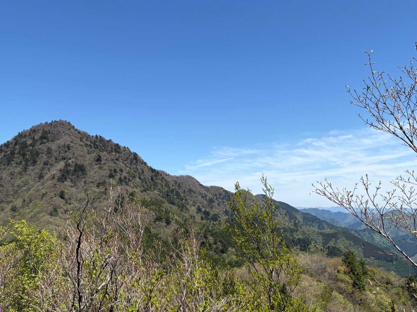 左から 東光森、別子山〜野地峰へと続く稜線