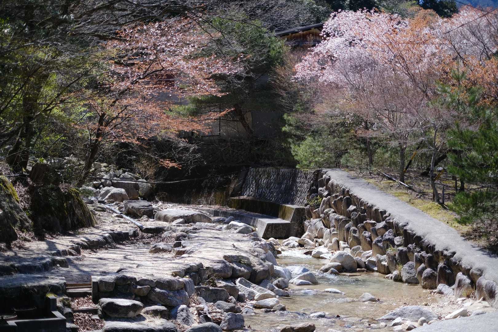 朝明登山口-ハライド-根の平峠-中峠-金山-羽鳥峰 周回コースの写真