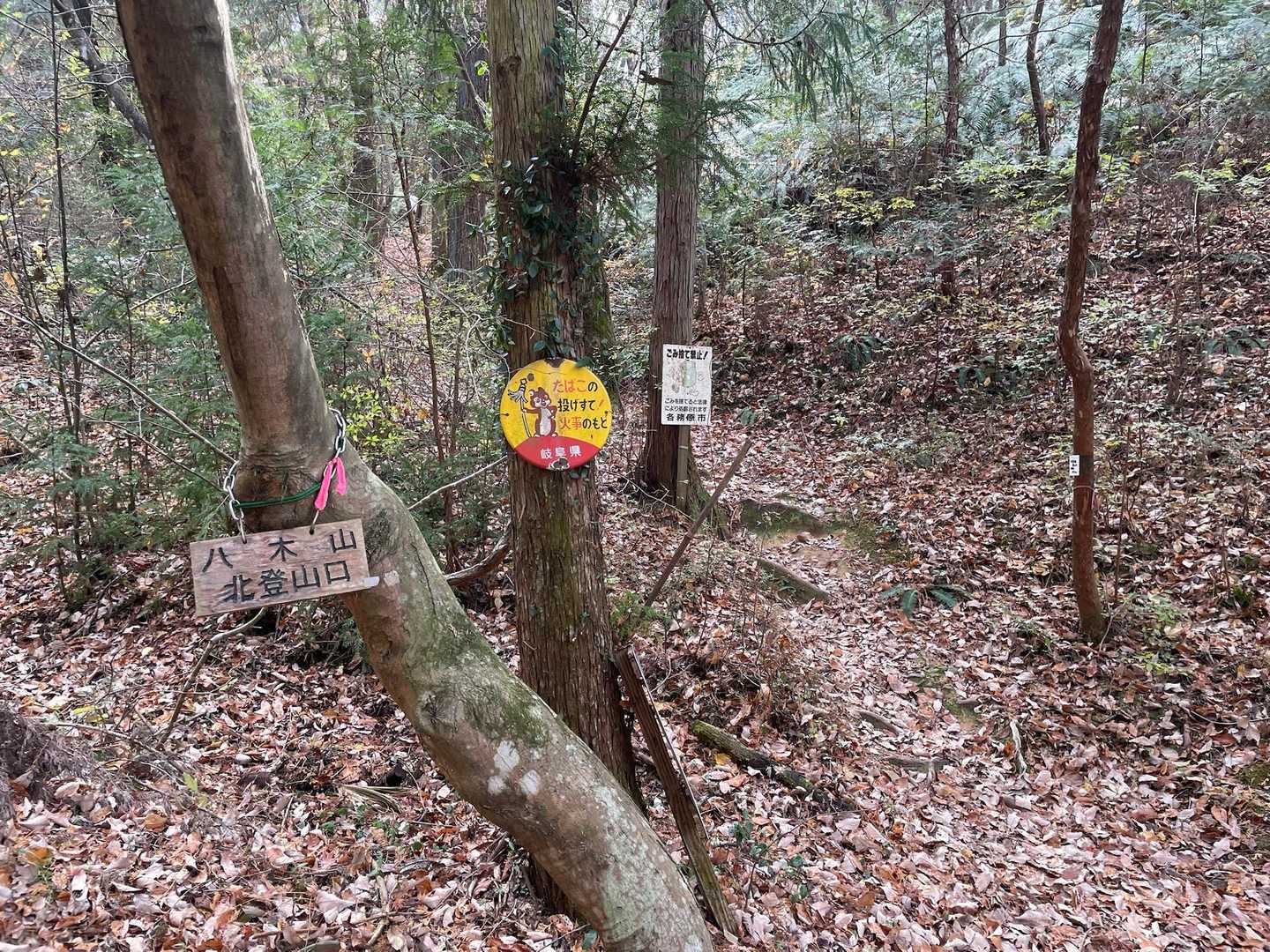 車道を少し歩くと登山口