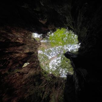 ウィルソンのハート、入口入ってすぐ右です