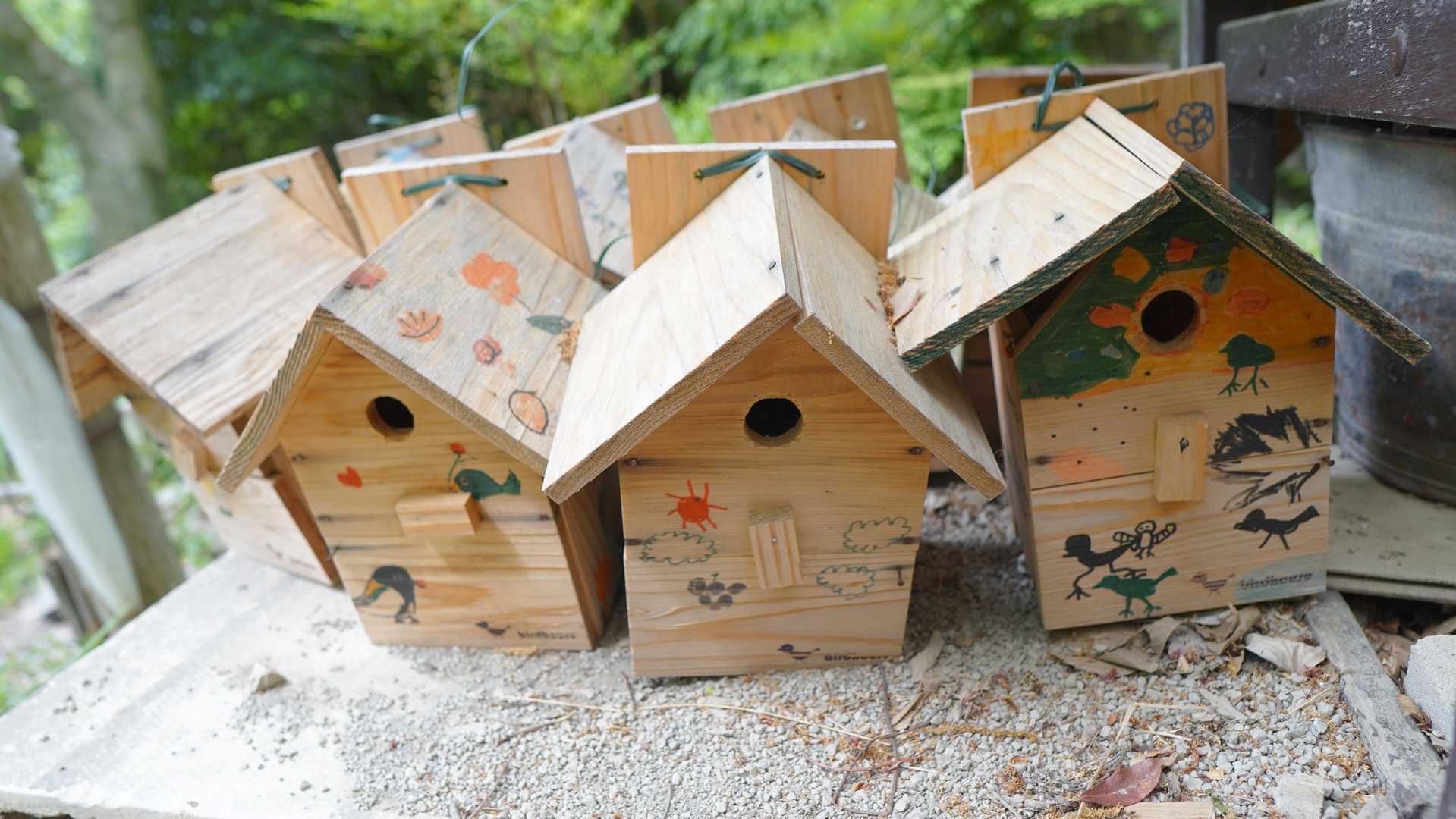 小鳥の小屋も作られてますね。
大切にされてる山だと感じました。