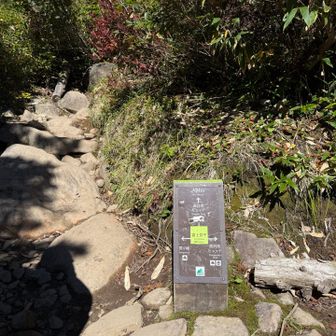 富士見平分岐まで降って来ました
ここからも急な降りが続きます
安全に降りましょう♪