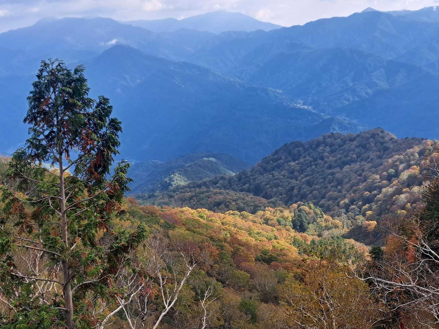 谷間の🍁も実際はとっても綺麗でした。