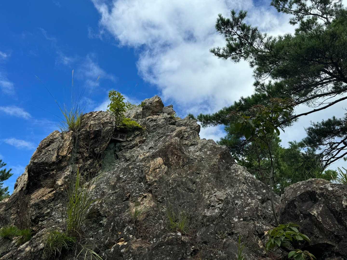 葛尾山 往復コースの写真
