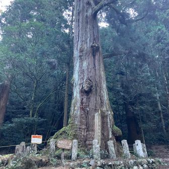 矢頭の大杉大きすぎ(=´∀｀)っ