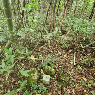 山頂の様子