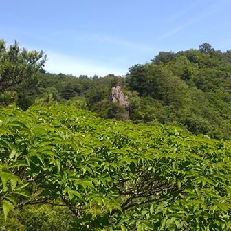 足尾山！