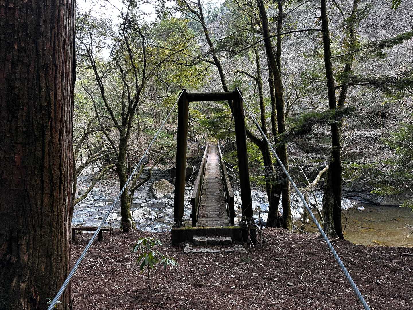 やっと登山口、という感じです。膝が笑ったのは久しぶり。