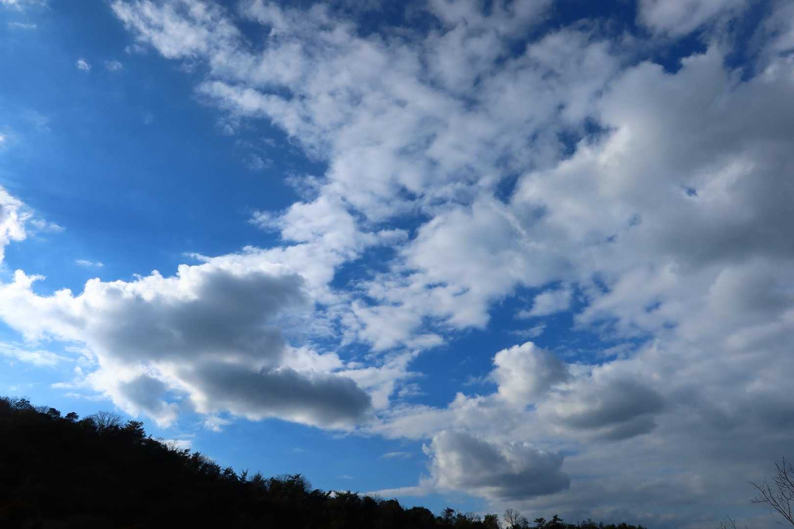 岩屋谷公園登山口-天下台山-えぼし岩-北尾根登山口 周回コースの写真