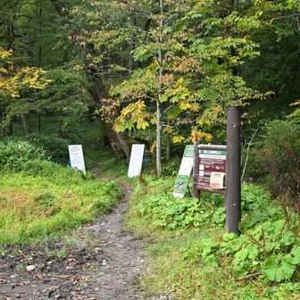 登山口です。バス停の帝国ホテル前からおよそ1km歩きます。