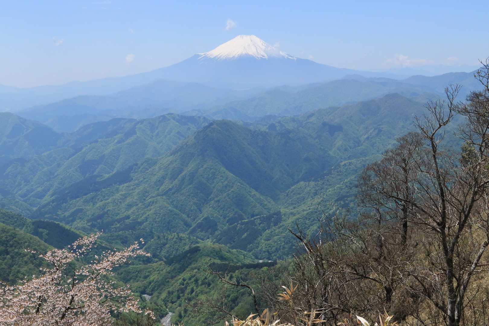 宝永山が左側は見慣れない静岡県人（笑