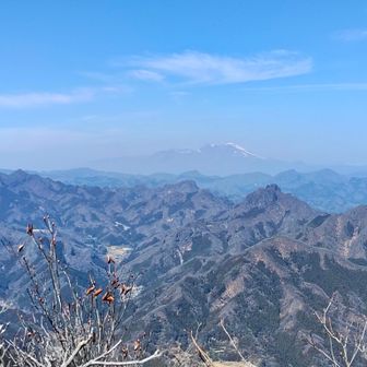 遠方は春霞のため見えないけど、絶景です。
薄っすら浅間山