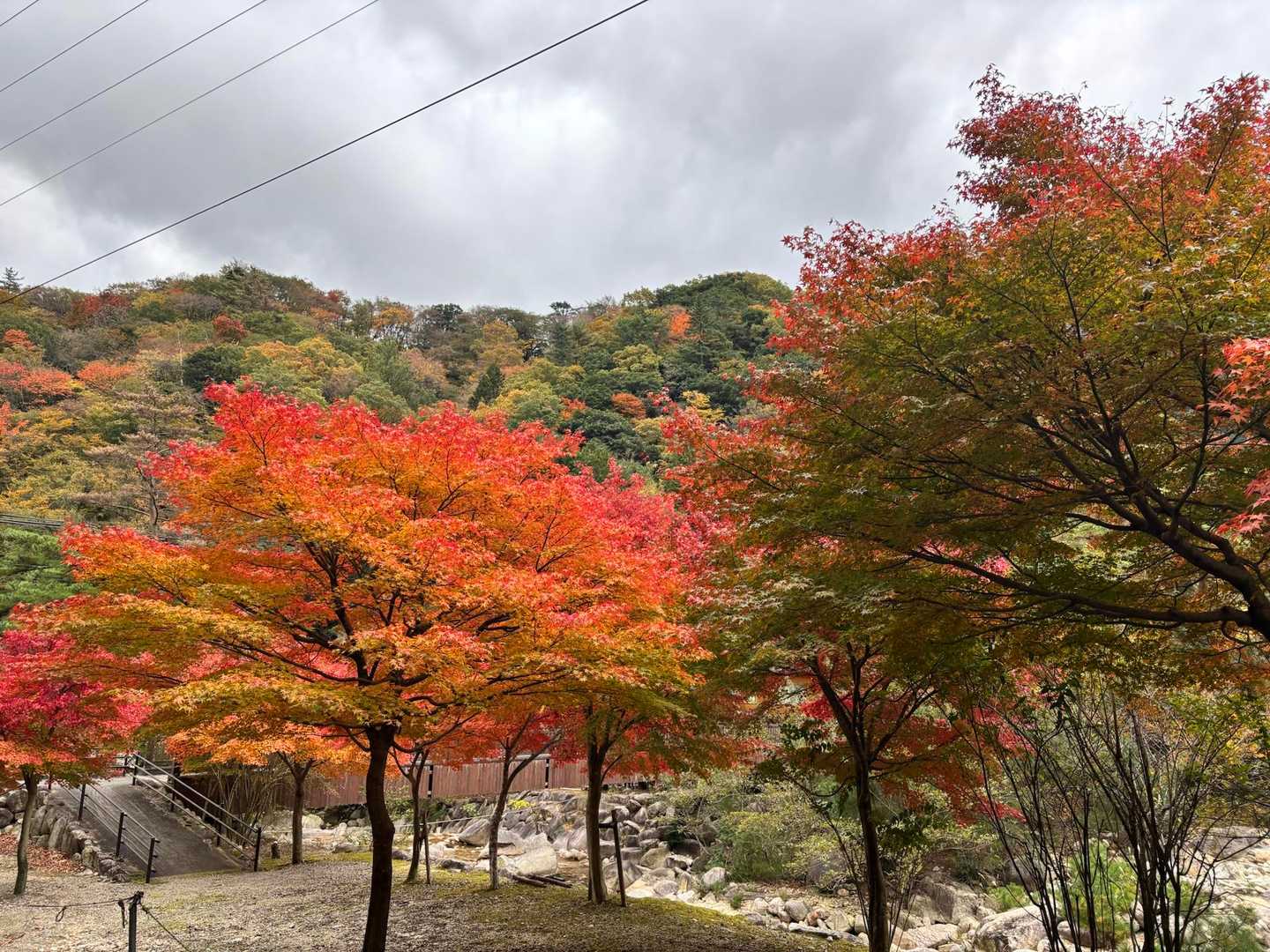 綺麗だなぁ🤩