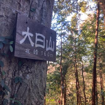 大日山北峰
