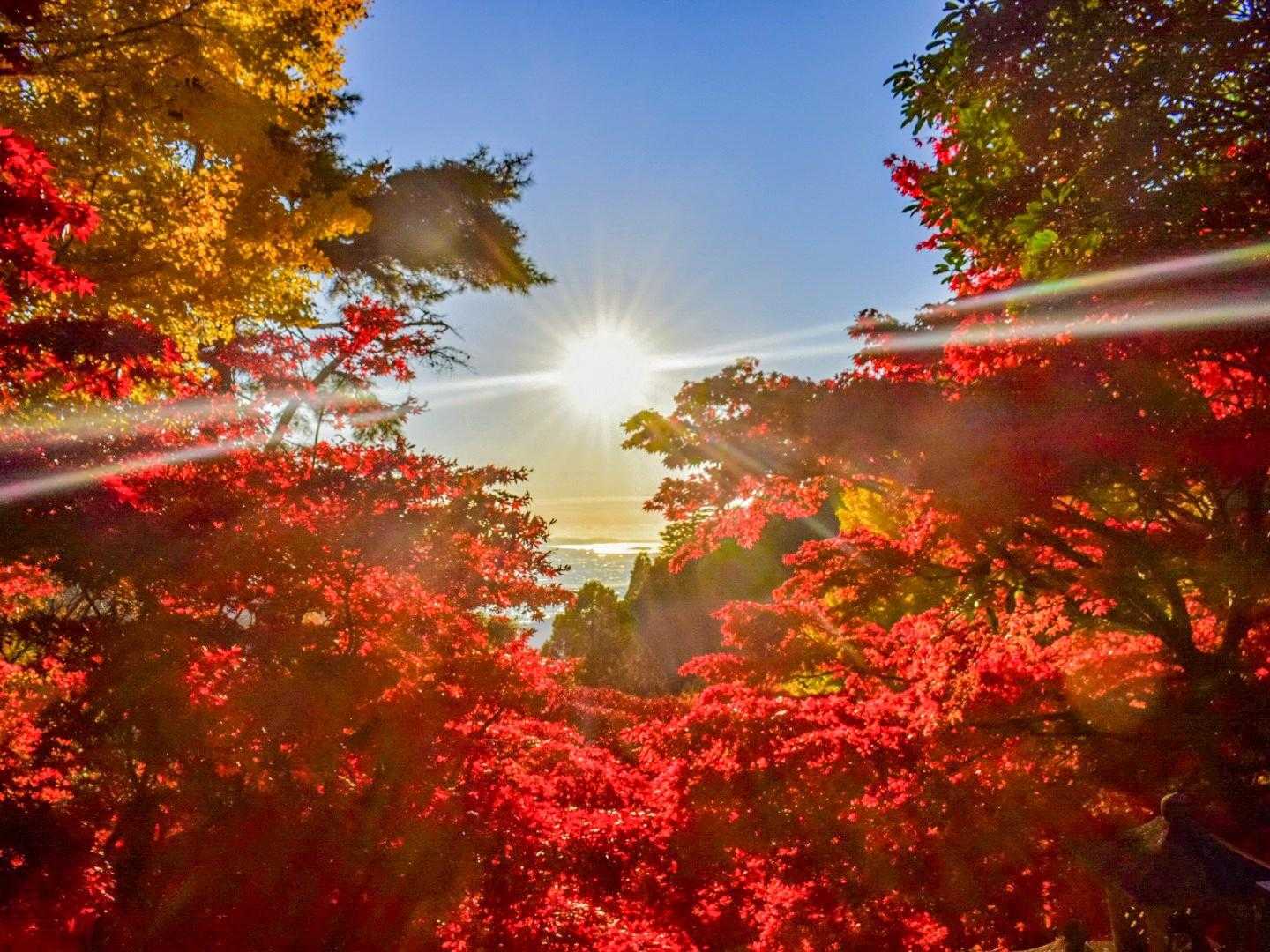 階段を上った所から

この時間だから撮れる写真
(眩しかったけどね😂)