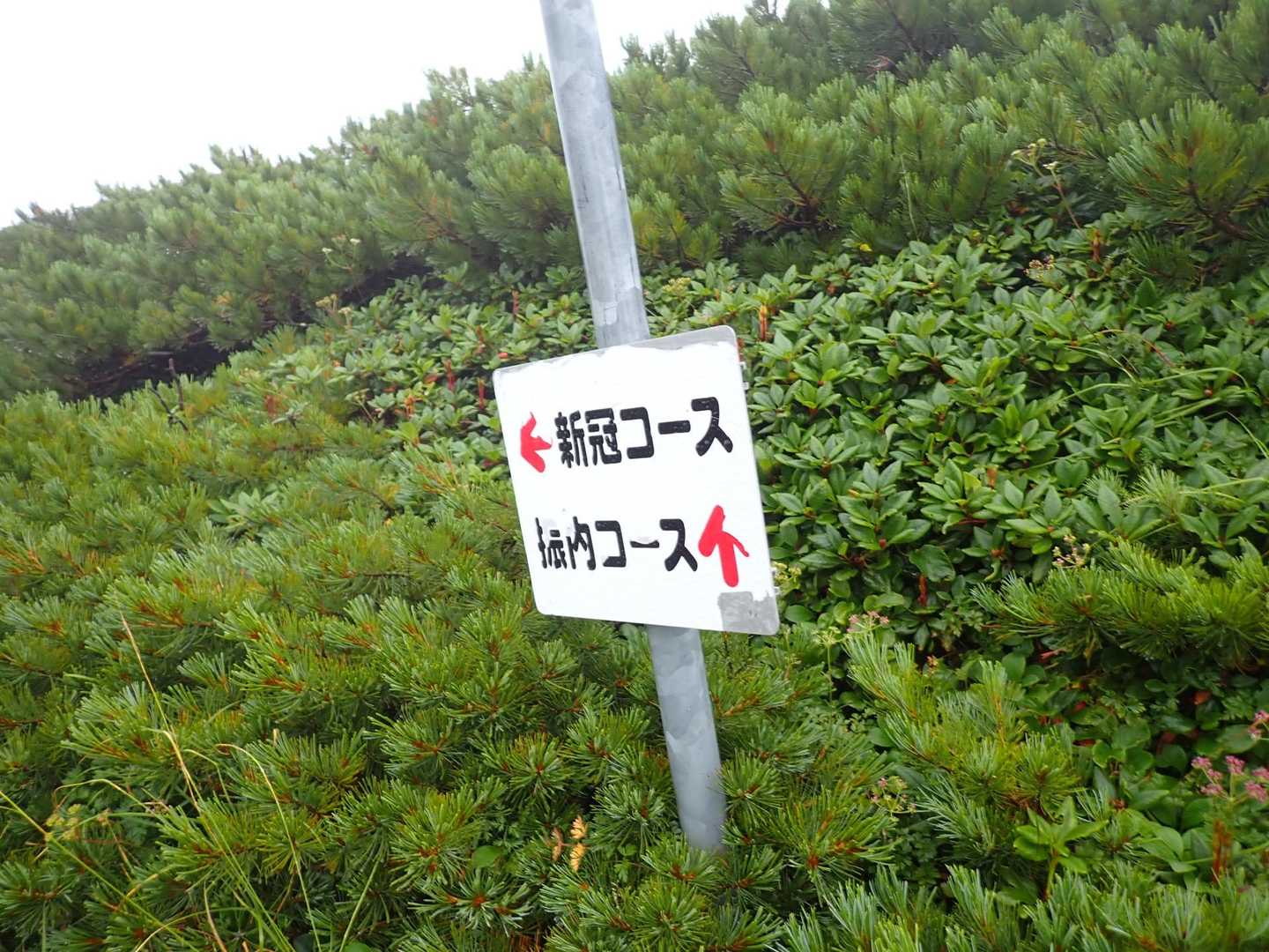 "日本百名山最難関"とも言われる幌尻岳の沢沿いコースの写真