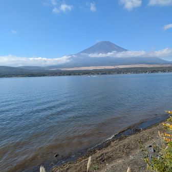 下山後の長池親水公園