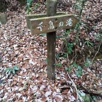 で、君はどこ？