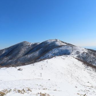 風ないなら、そりゃここでしょう🥢