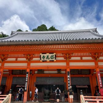 本殿にお参り🙏
