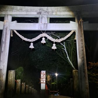 同じ階段だね。😅