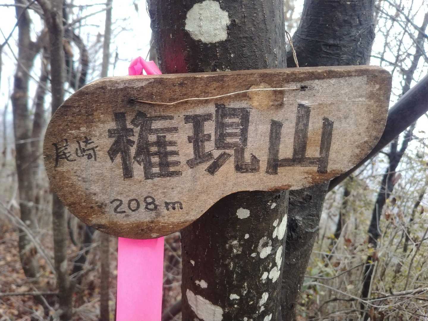 権現山山頂。眺望ありません。