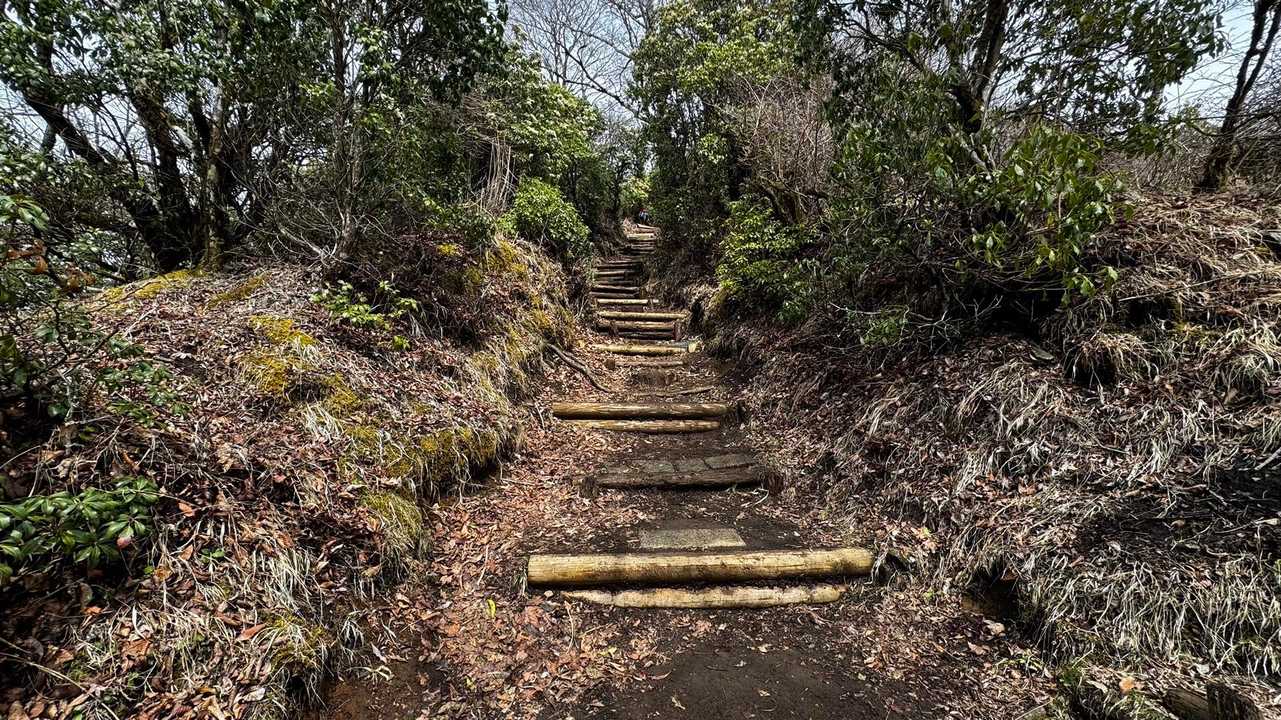鍋割山・塔ノ岳・烏尾山縦走 の写真 21