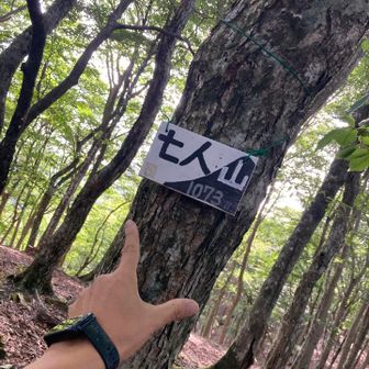 七人山登頂🏔️
景色ないよっ