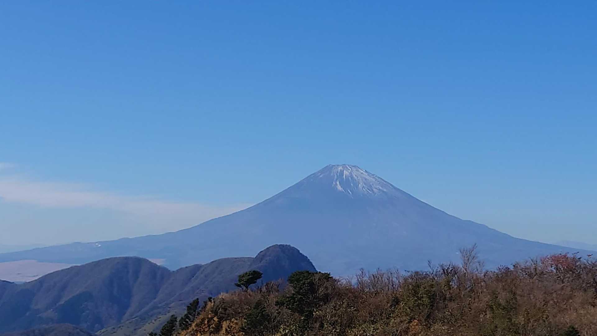 大雄山最乗寺発着｜明神ヶ岳周回コースの写真