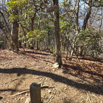 偉主山。いぬやまと読むそうです