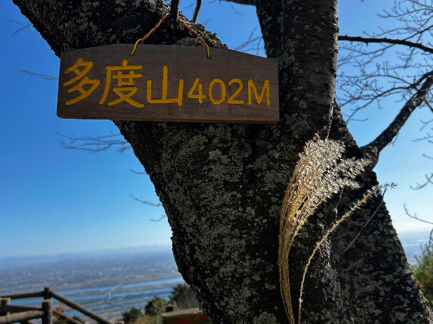 健脚コース-多度山-眺望満喫コース 周回の写真