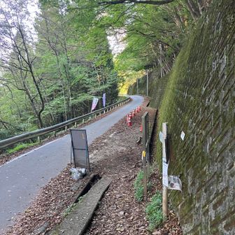 登山道の終わり！ここから鴨沢バス停までまた少しだけ山道がありますが、ここまで来れば終わりが見えますね。