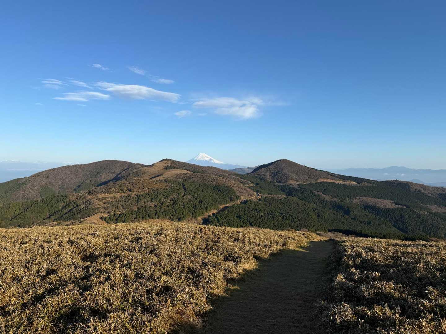 仁科峠-風早峠-魂の山-土肥峠-吉奈峠-棚場山-土肥峠-伽 縦走コースの写真