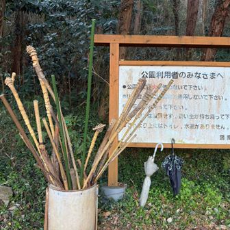 使って良い杖もあります！傘も！