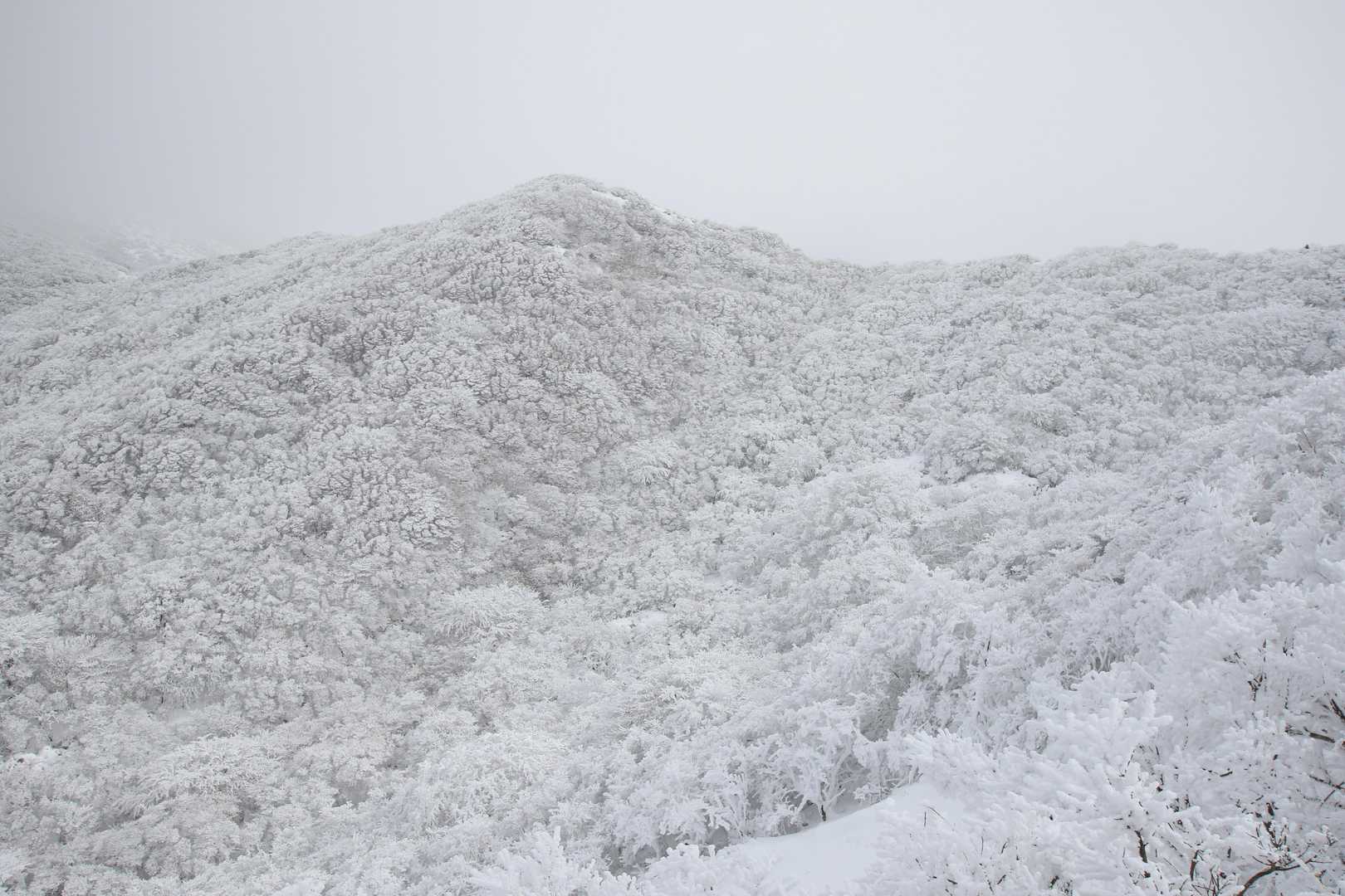 牧ノ戸峠-沓掛山-扇ヶ鼻-御池 往復コースの写真