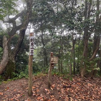 妙見山登頂
この辺から降り出す