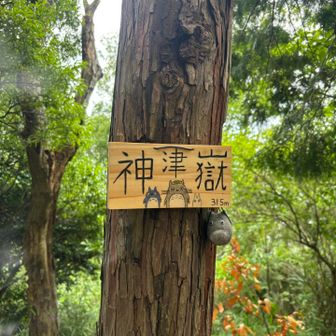 神津嶽　枚岡神社本宮