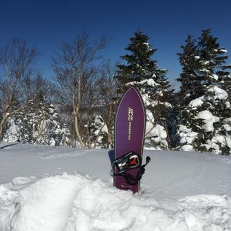 シャッチョさん