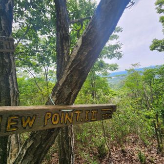 Viewpointは20m→