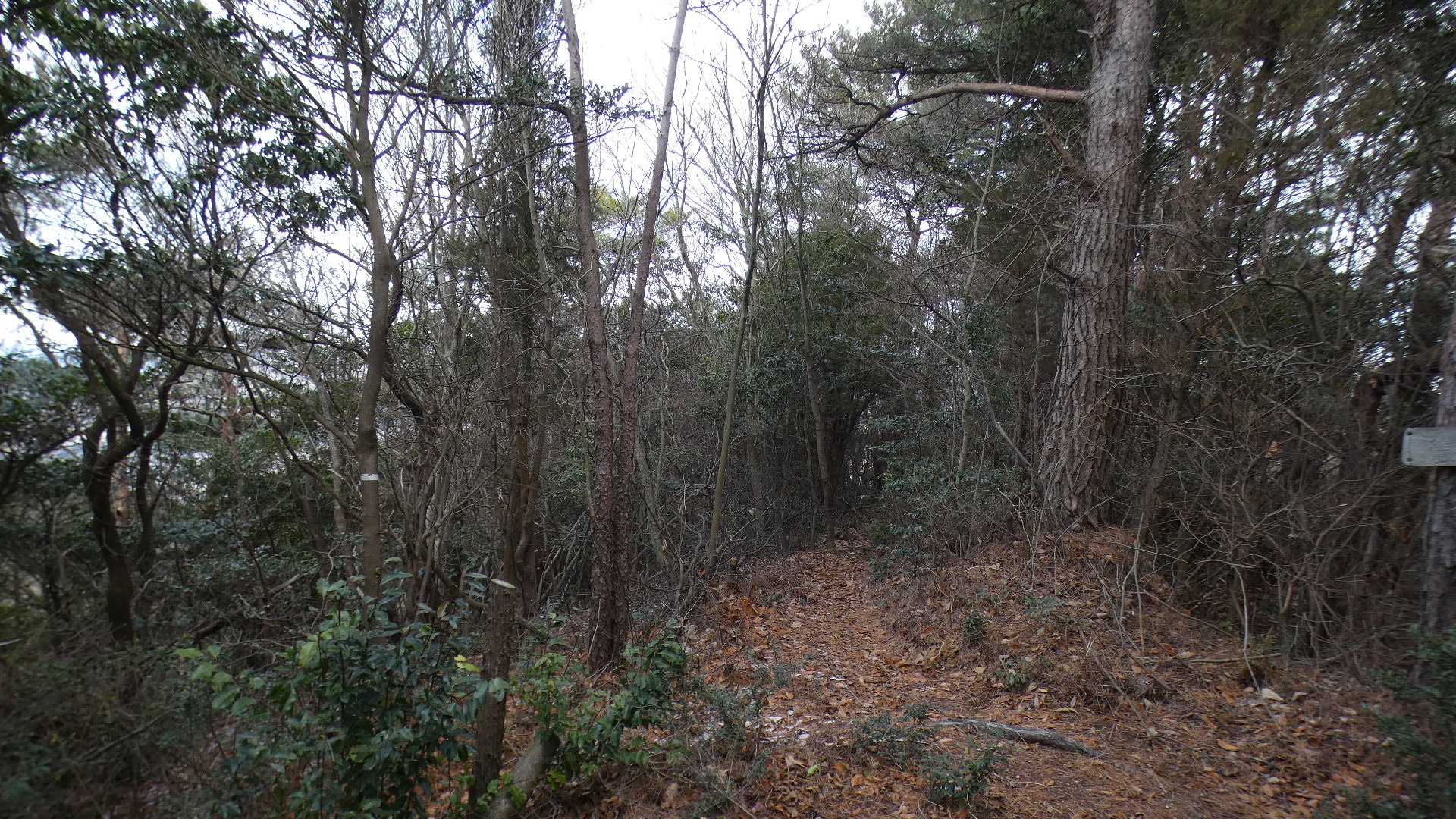 石嶽山山頂。
ここに分岐あるのだけど、すぐ手前にも分岐があった。
案内板があったので、ちょっと引き返す。