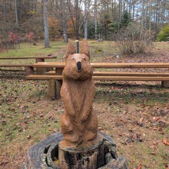 🐇
沢山の方が登ってたよ⛰️