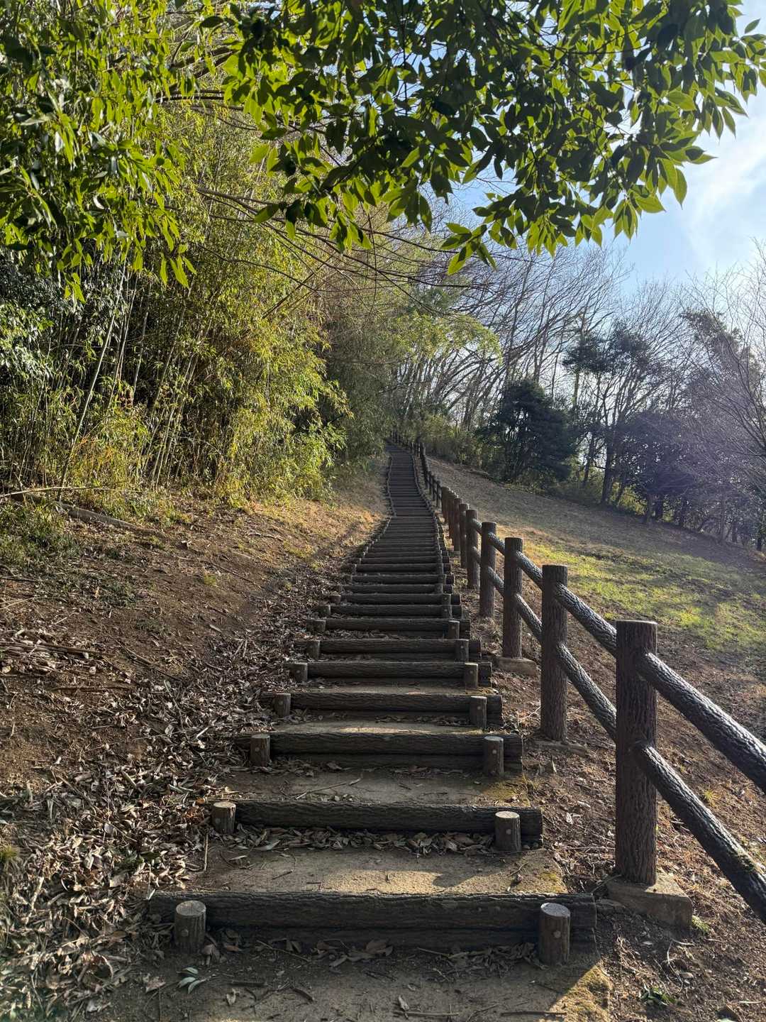 山頂を目指します！