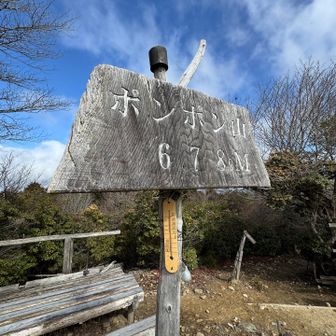 少し楽しみにしてたけどそんなにポンポンはいわなかった気がする🤣

気温は3℃ほど
スタート時に羽織ったレインウェアが丁度よく、こまめなウェアの脱ぎ着をせず終始快適に行動できました😚〜♪
