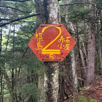 もう少し