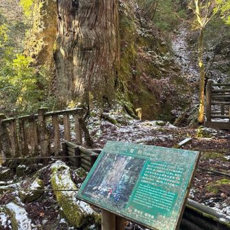 変わらずの姿でした