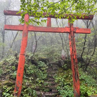 相馬山直下まで来ました。相馬山は以前登頂していますし、ガスっているので今回は登りません