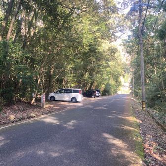 駐車場の様子
ナンバーは大分、佐賀、久留米、鹿児島