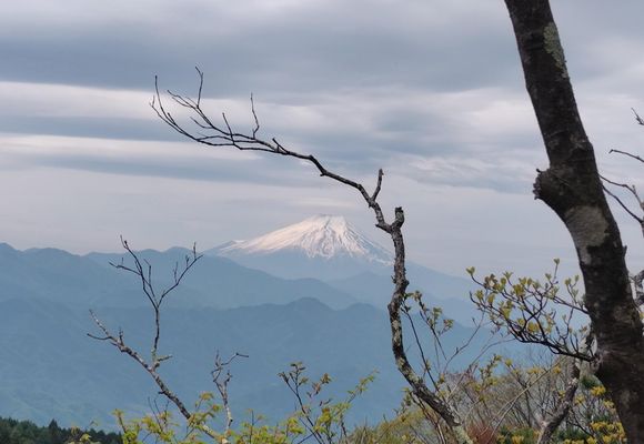 連行峰（連行山）（東京・神奈川・1016m）| 登山ルート・天気 | YAMAP